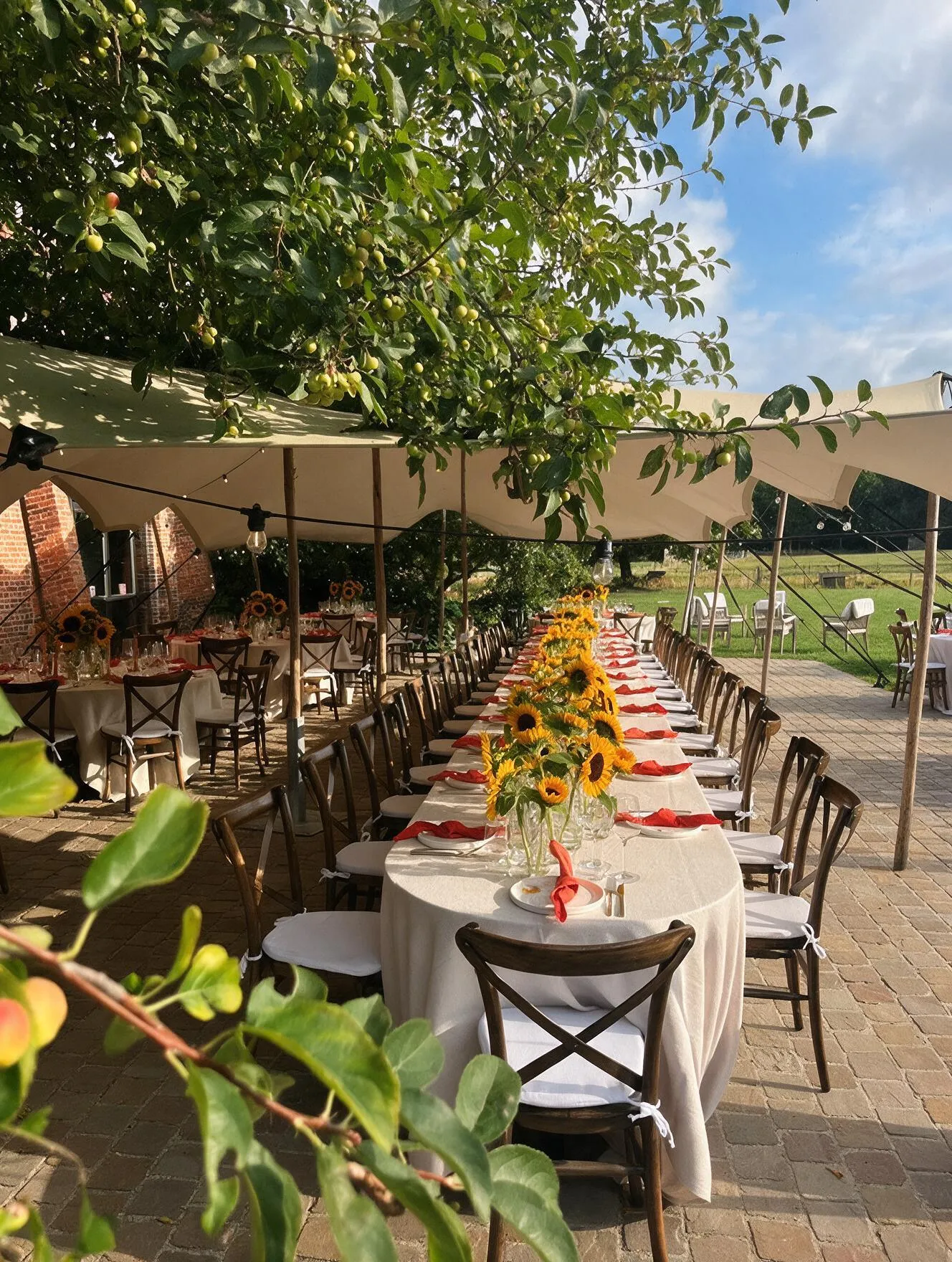 Lange gedekte tafel met zonnebloemen onder de stretchtent in de tuin van Speghelhof